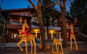Mz Reindeer