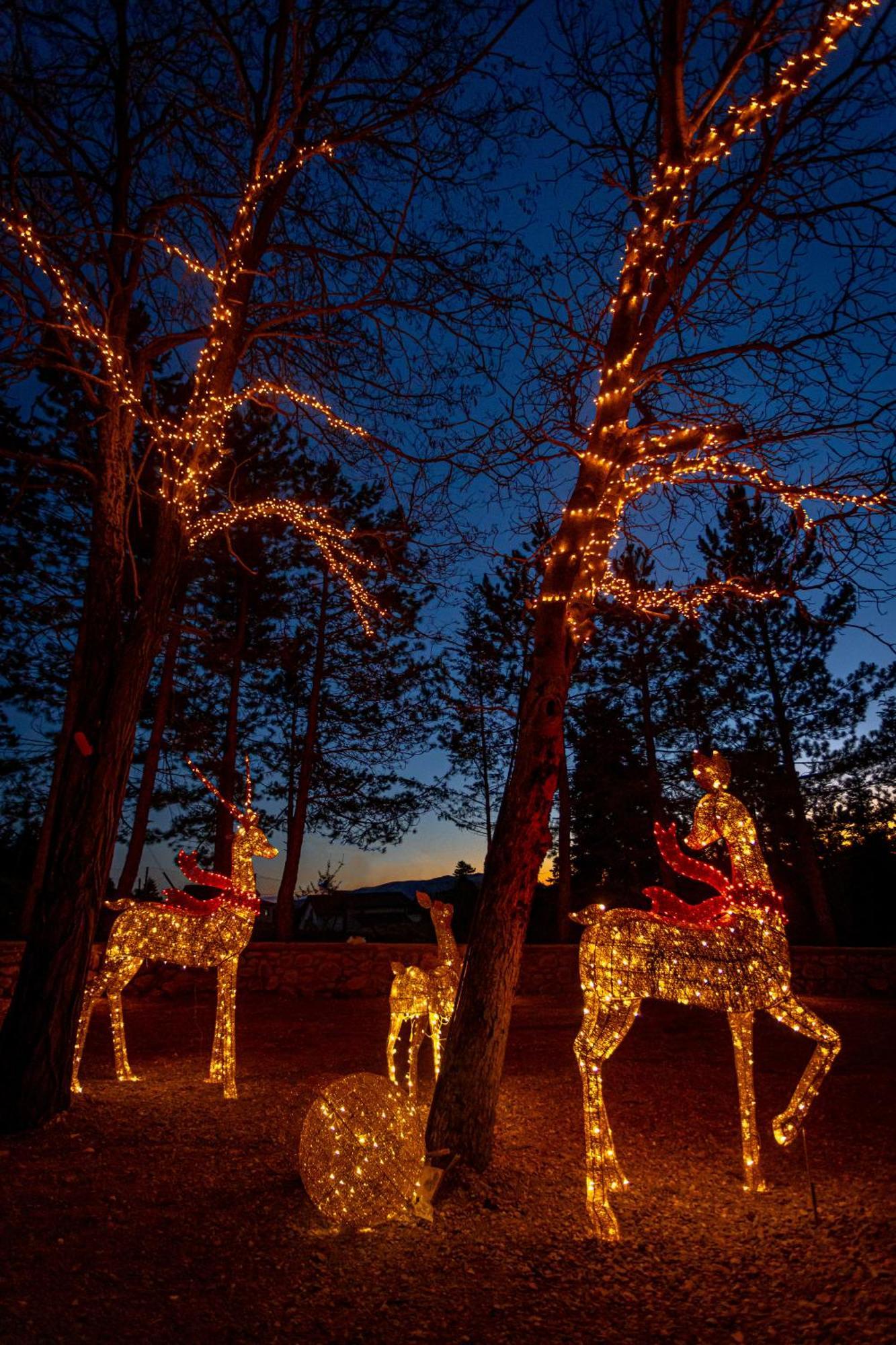 Mz Reindeer Ξενοδοχείο Kalívia Εξωτερικό φωτογραφία